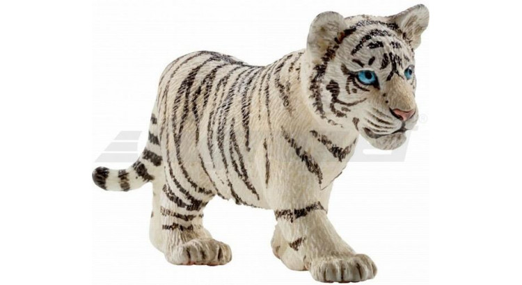 Tygr bílý mládě