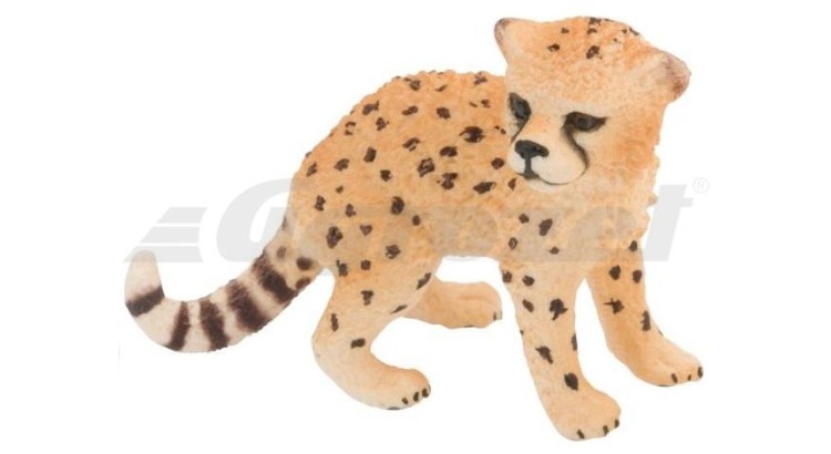 Leopard mládě