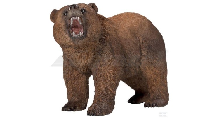 Medvěd grizzly