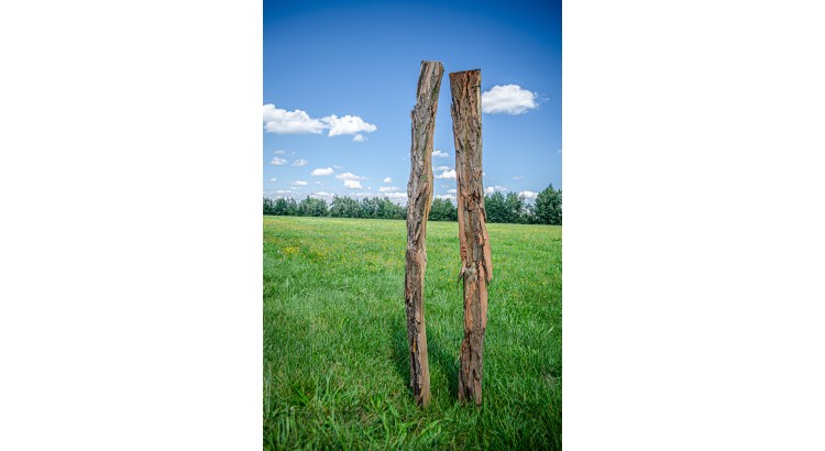 Kůl ohradníkový akátový 120-150x1800 (mm) štípaný