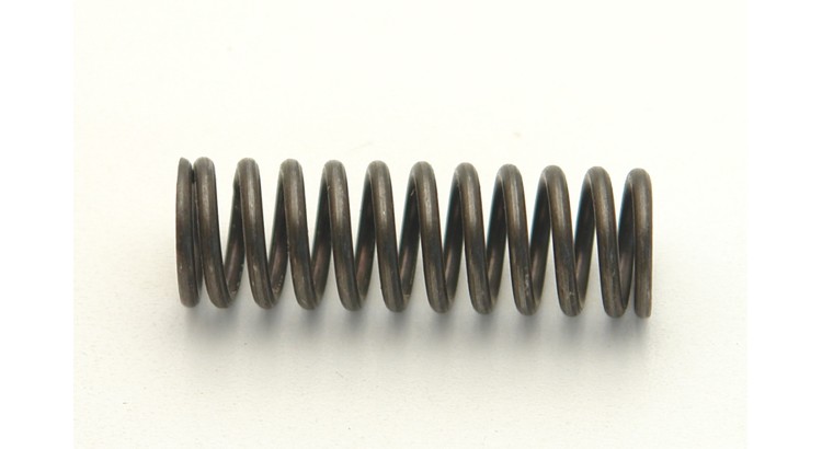 Pružina 80153246