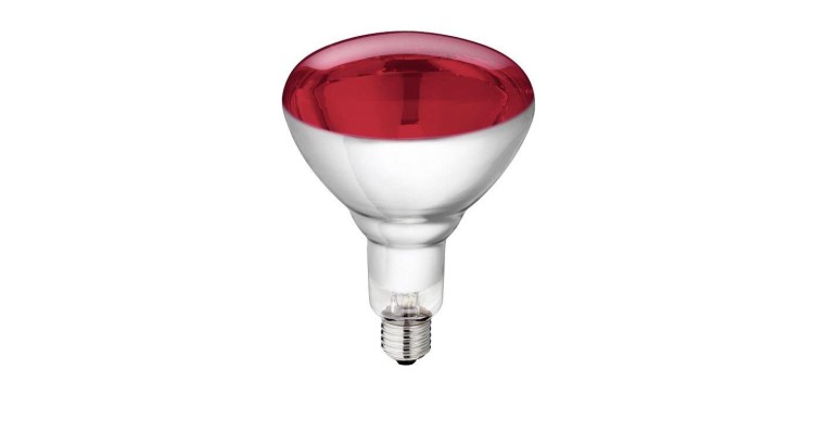 KERBL 22314 Infražárovka z tvrzeného skla 250W červená