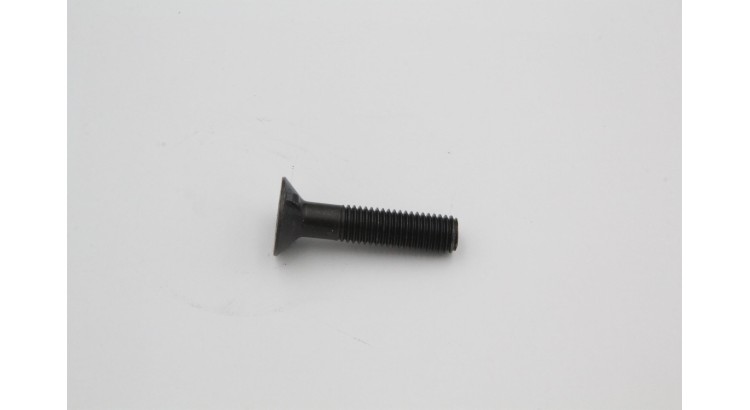 Šroub M12x55 10,9 DIN 11014