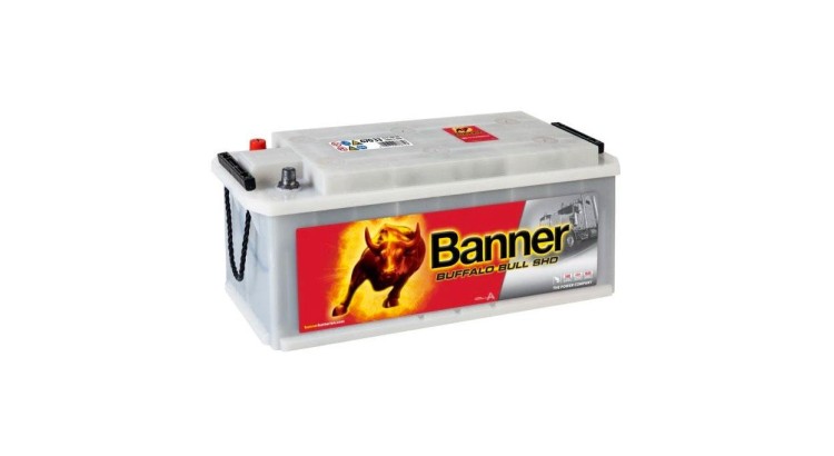 67033 Banner Buffalo Bull SHD 170Ah 1000A