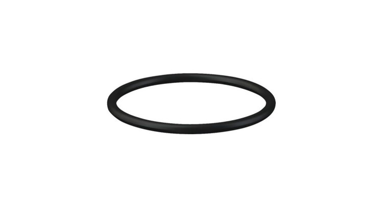 OR2925090P001 O-kroužek 29 x 2,5 mm 90 shore