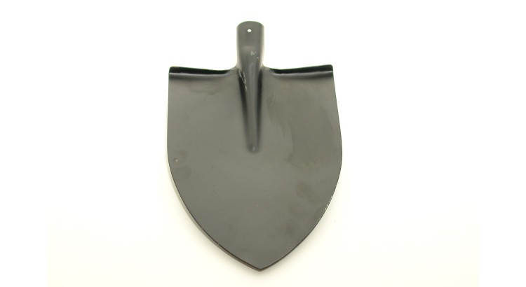 Rýč špičatý