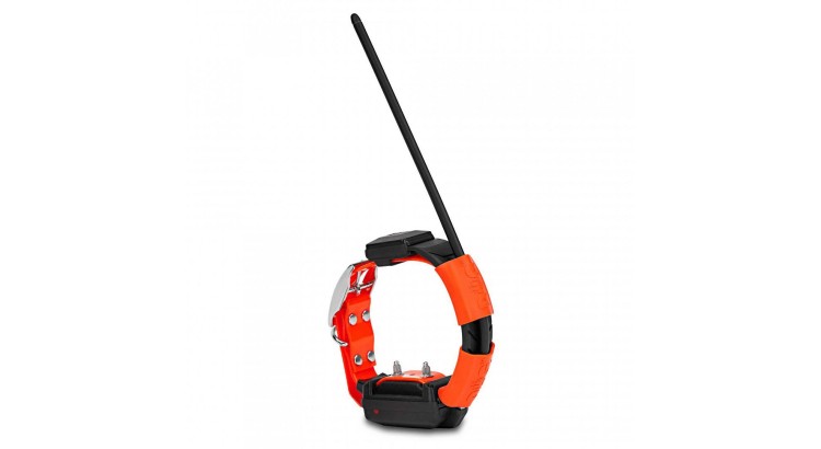 Obojek pro dalšího psa DOG GPS X30T