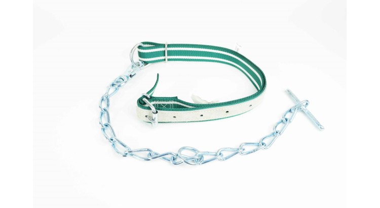 Vazák pro dobytek jednoduchý kombinovaný s krčním řemenem Nylon 130x4 cm