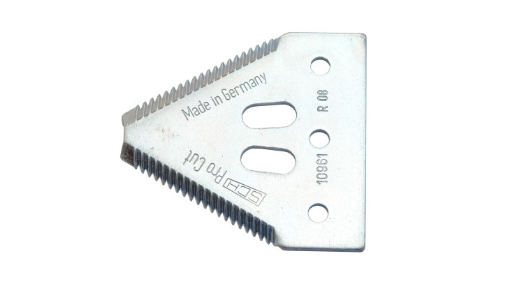 Žabka hrubá Schumacher