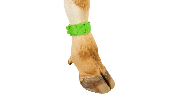 KERBL Páska na nohu plast, zelená