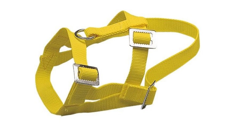 KERBL Ohlávka pro ovce a kozy žlutá