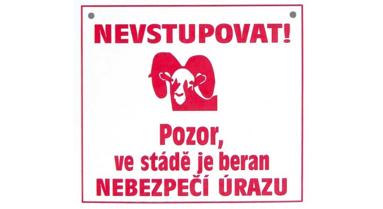 Tabulka varovná POZOR beran