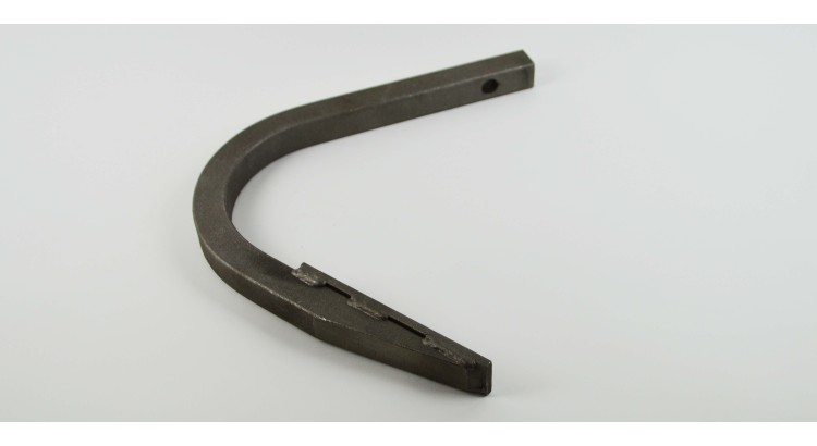 Radlička dlátovitá