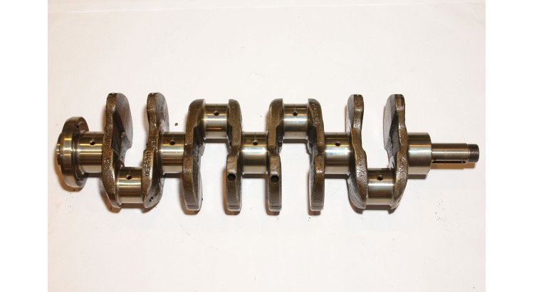 71010399 Hřídel kliková