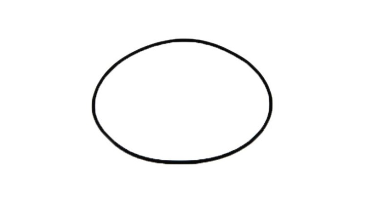 Zetor 935234 Těsnící kroužek CAS FHSX