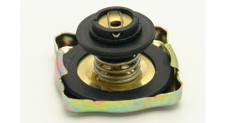 972501 Zátka chladiče