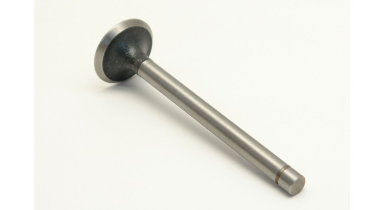 69010554 Ventil výfukový