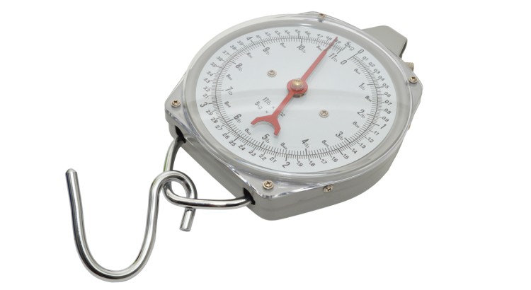 KERBL Závěsná váha s ciferníkem do 5 kg, dělení po 20g