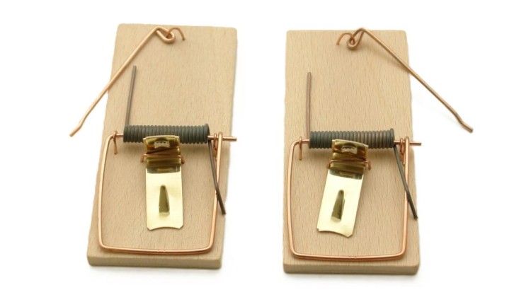 Past na myši 80l d/h 2 ks