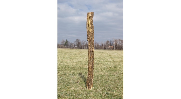 Kůl ohradníkový dubový štípaný 100-150x2000 mm