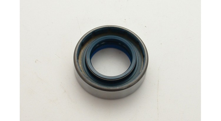 53185901 Gufero combi SF6 35x60x18.5