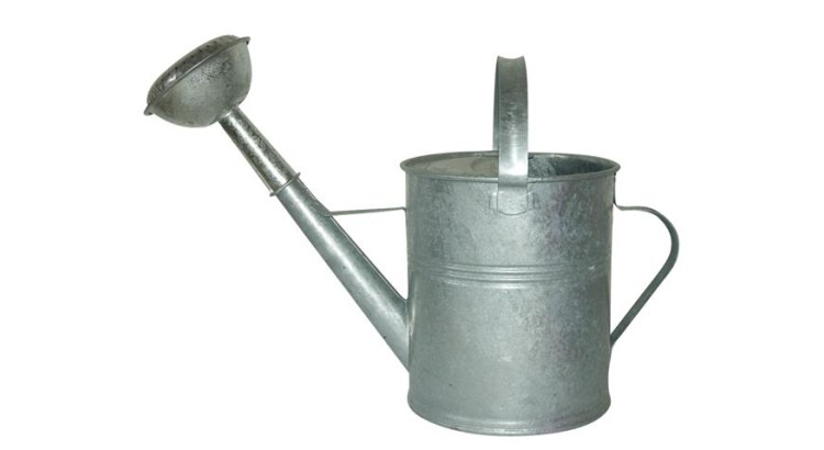 Konev kropicí 5 l pozink. růžice
