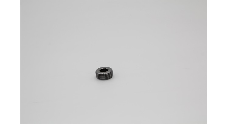 Zátka M22x1,5 DIN 906 5,8 imbus