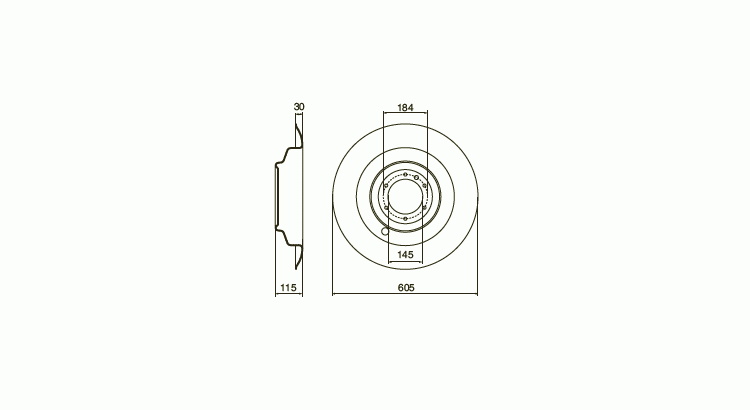 Plaz bubnu  pr.605 mm (00+640.056)