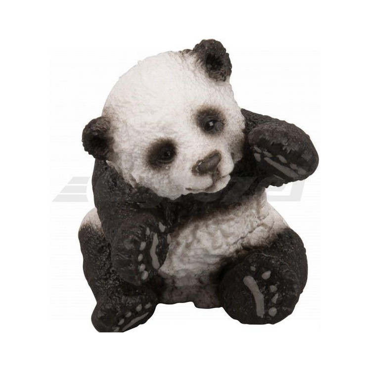 Panda, hrající si mládě