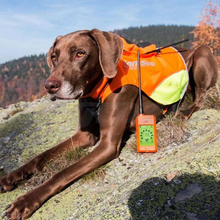 Ochranná vesta pro psa DOG GPS XS