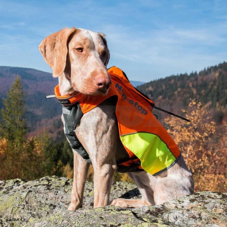 Ochranná vesta pro psa DOG GPS M