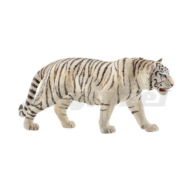 Tygr bílý