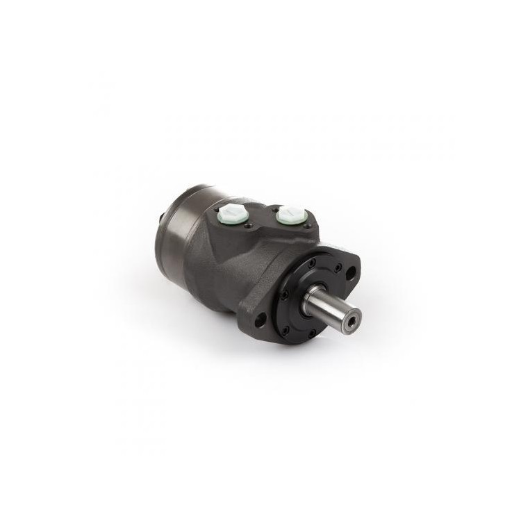 Fliegl HMTXXX100150 Motor - hydromotor šneku kejdovače CLR 160