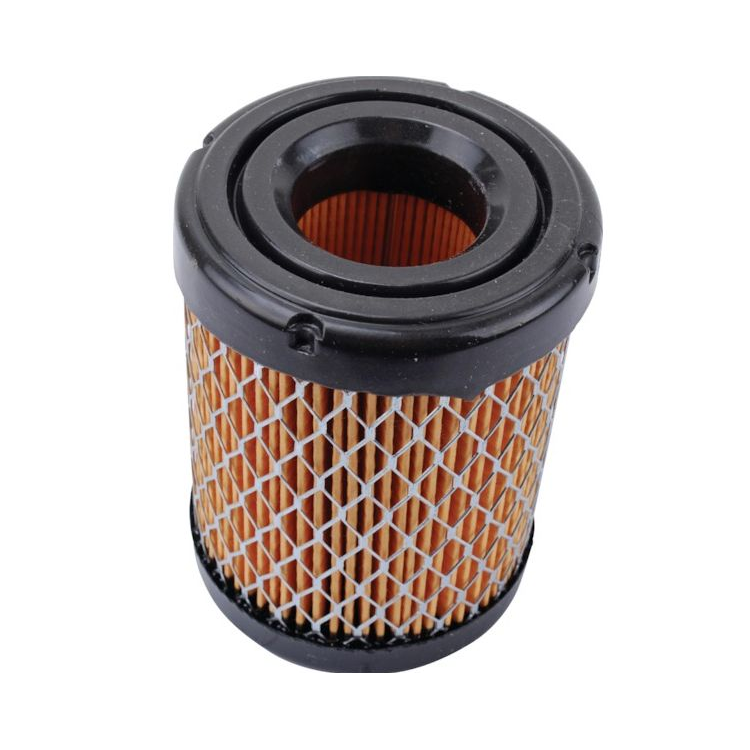 Briggs & Stratton Vzduchový filtr 591583