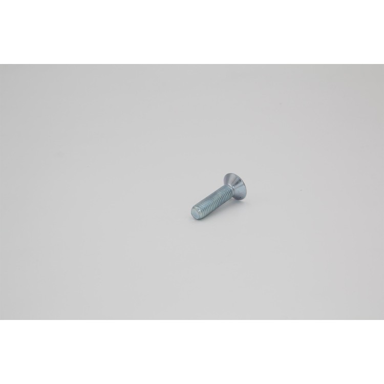 Šroub M10x40 imbus 88+81.3.01866