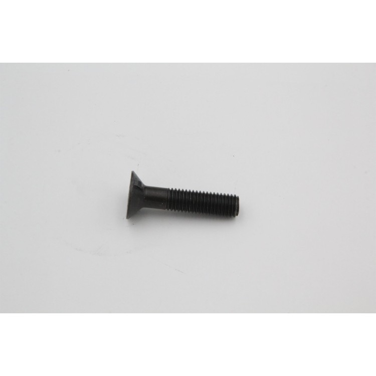 Šroub M12x55 10,9 DIN 11014