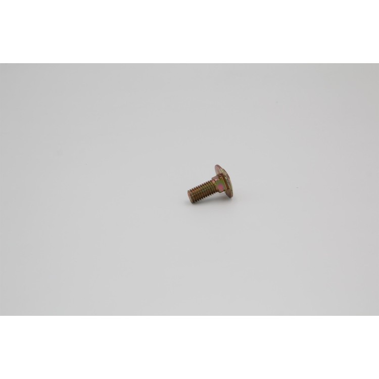 Šroub M10x25 Zn DIN 603 8.8 vratový