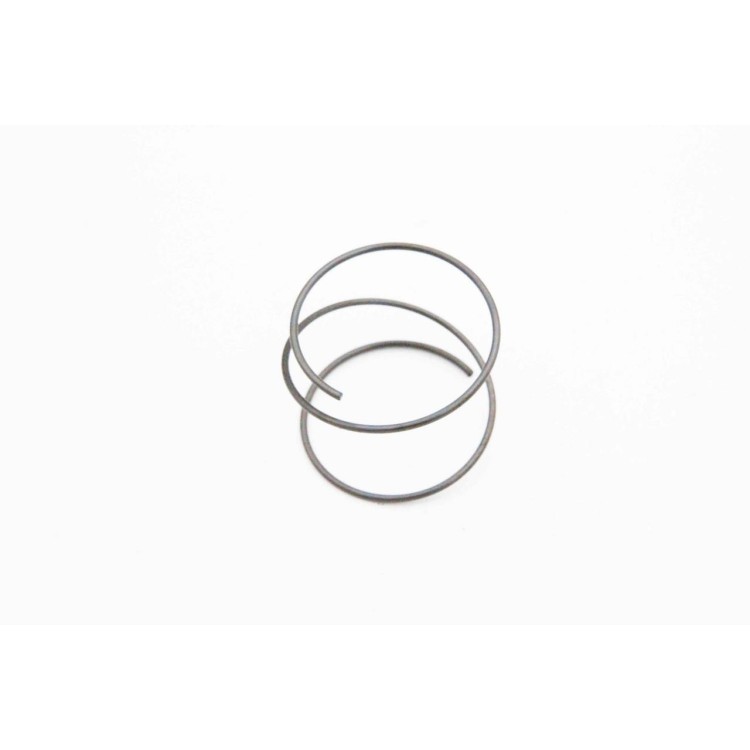 Pružina zajištění