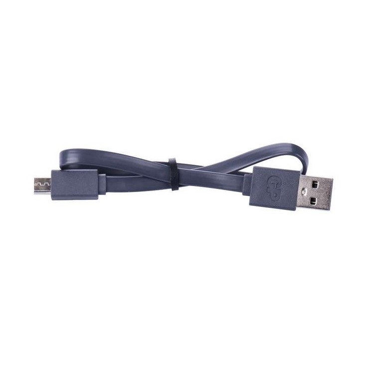GP USB nabíječka baterií U421