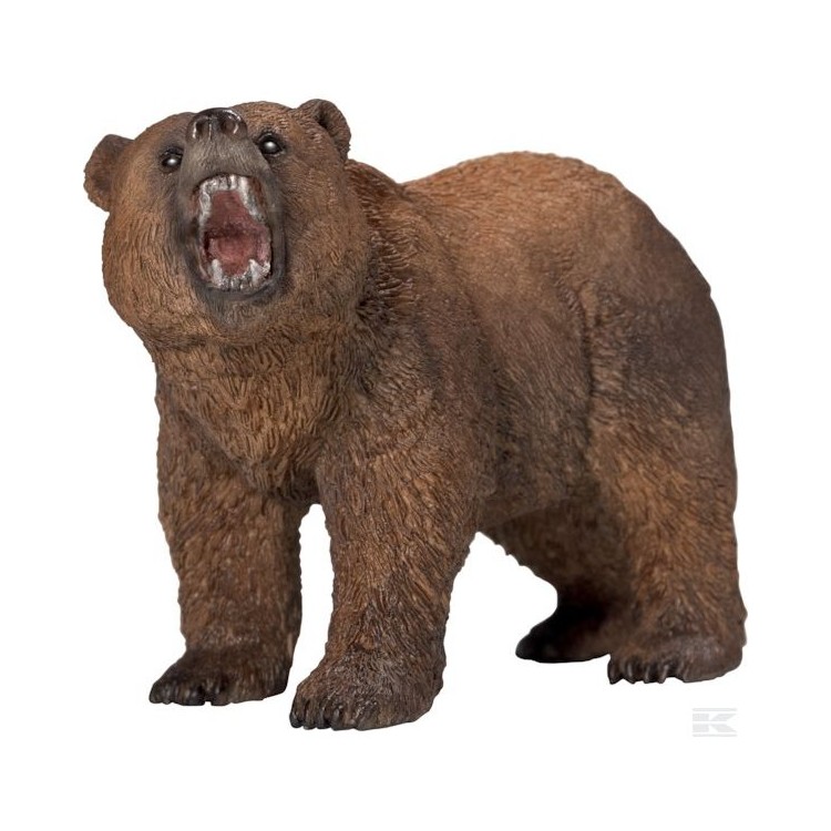 Medvěd grizzly