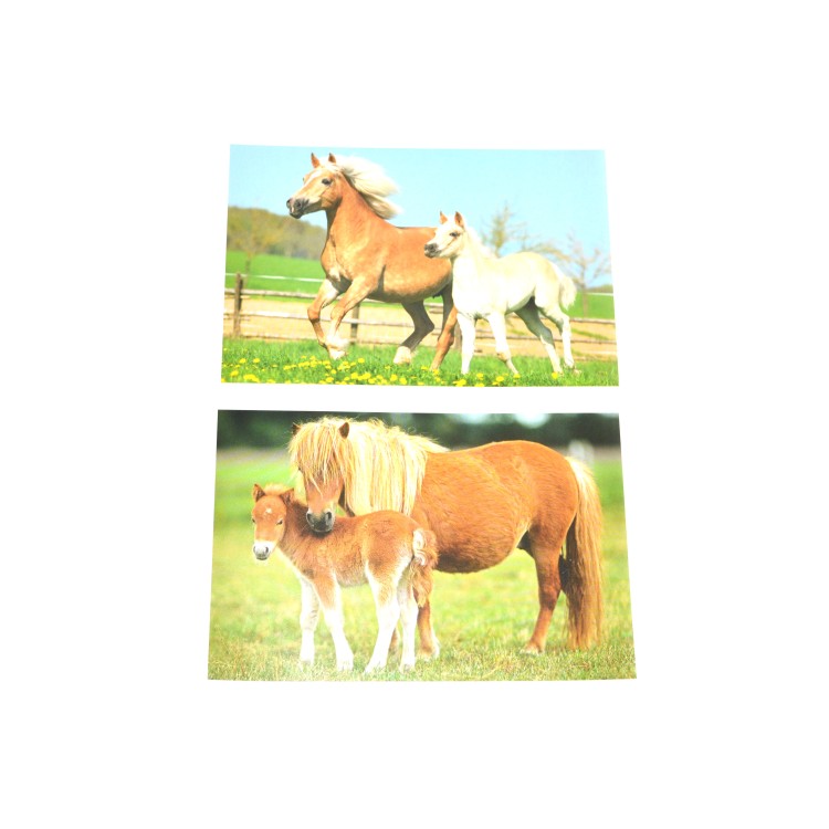 Puzzle v kufříku "Koně"