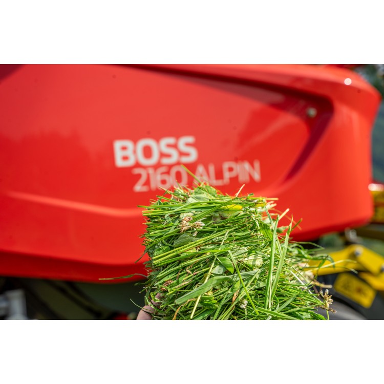 BOSS 2160 ALPIN