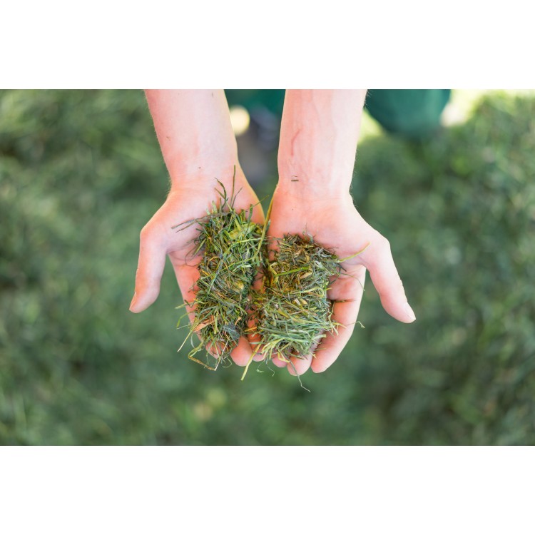 EUROPROFI 5010 D COMBILINE