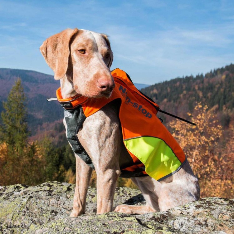 Ochranná vesta pro psa DOG GPS M