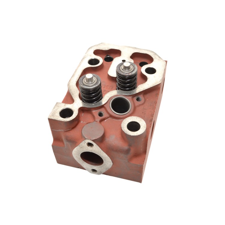 Hlava válce Turbo - kompletní s ventily 52020521, 79010501, 52020501