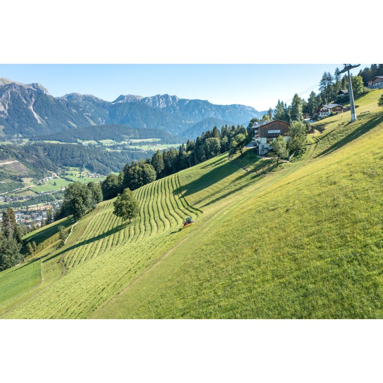 NOVACAT F 2700 ALPIN