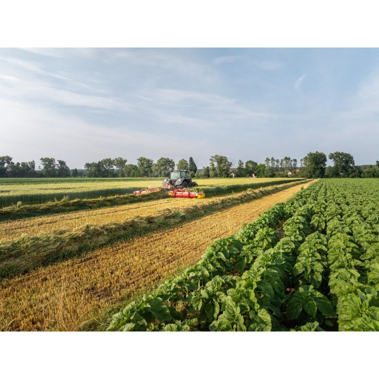 NOVACAT 301 ALPHA MOTION PRO ED