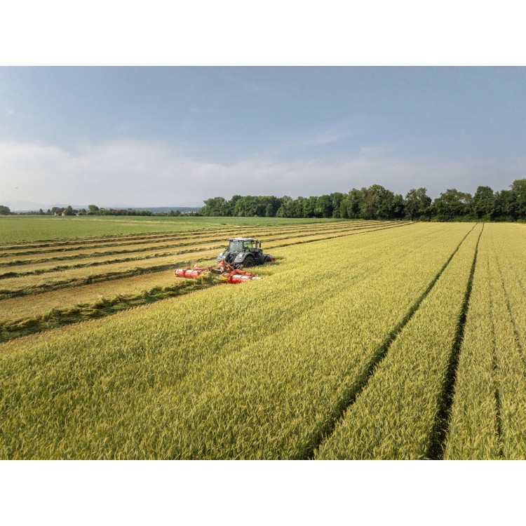 NOVACAT 301 ALPHA MOTION PRO ED