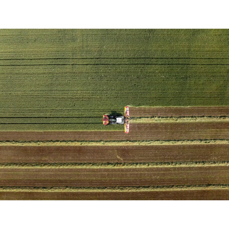 NOVACAT 301 ALPHA MOTION PRO ED