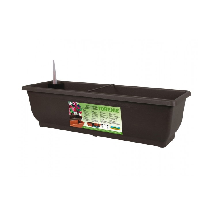 Truhlík sam. TORENIE 60cm 59115hn